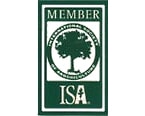 ISA Member