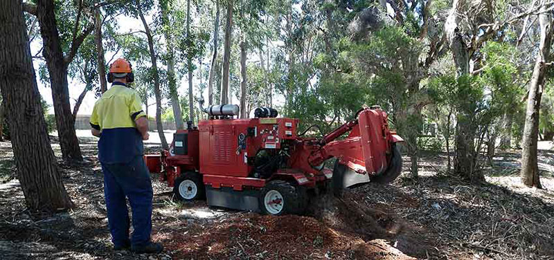 Stump Grinding